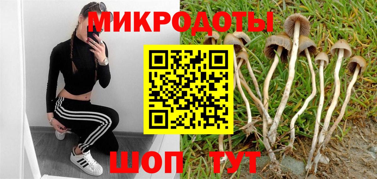 наркотики  Псилоцибиновые грибы мухоморы  Вход с VPN  Алейск 